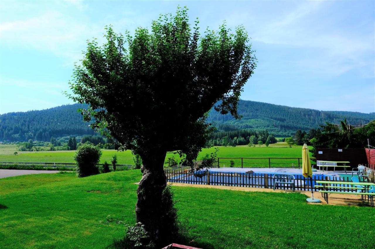 B Und B Titisee Hotel Sonnenmatte Nahe Badeparadies Экстерьер фото
